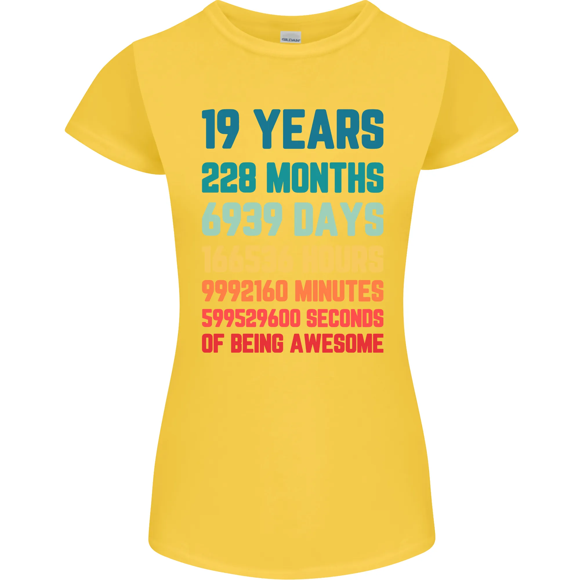 19th Birthday 19 Year Old Womens Petite Cut T-Shirt