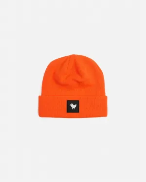 Bad Beanie