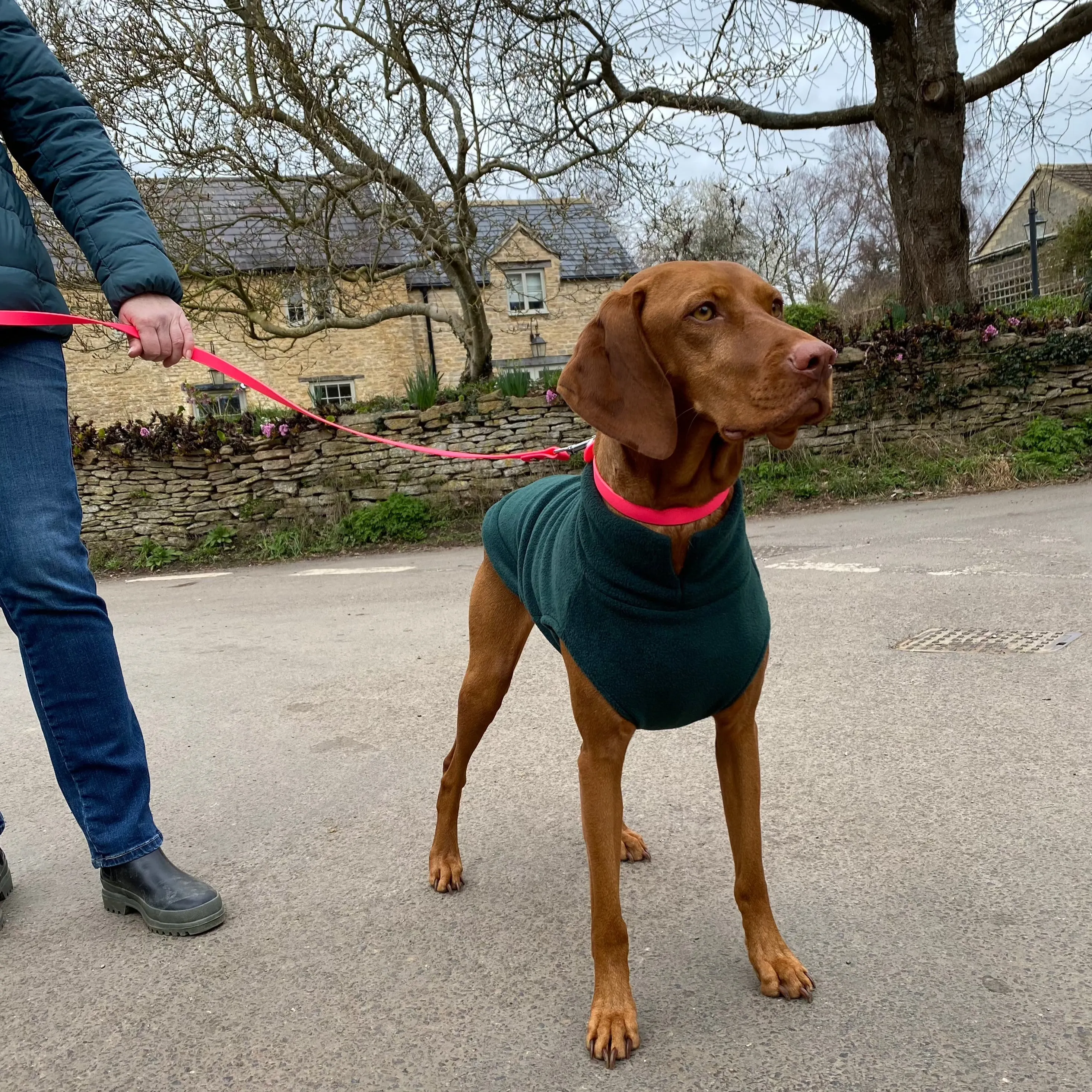 Extra Large Breed Dog Fleece Jumper