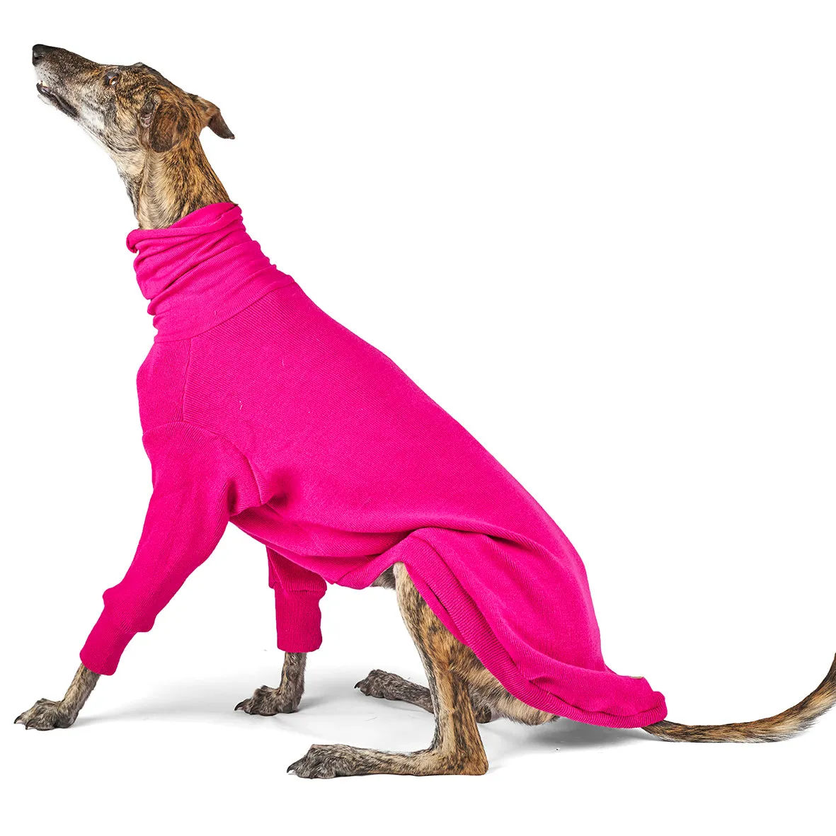 Greyhound Jumper - Kakadu