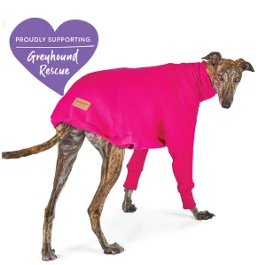 Greyhound Jumper - Kakadu