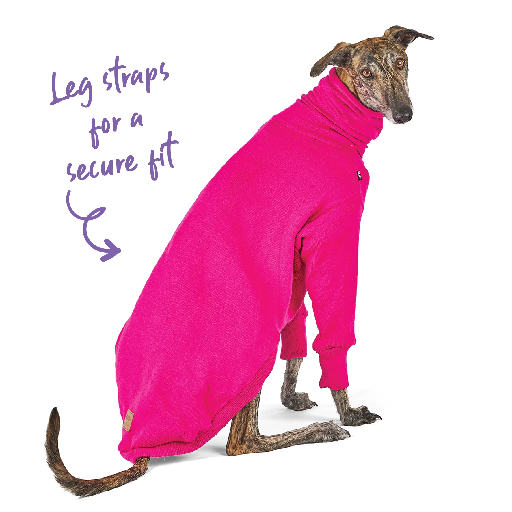 Greyhound Jumper - Kakadu