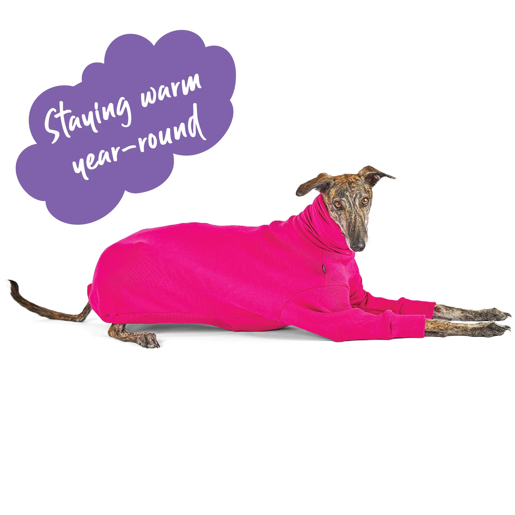 Greyhound Jumper - Kakadu