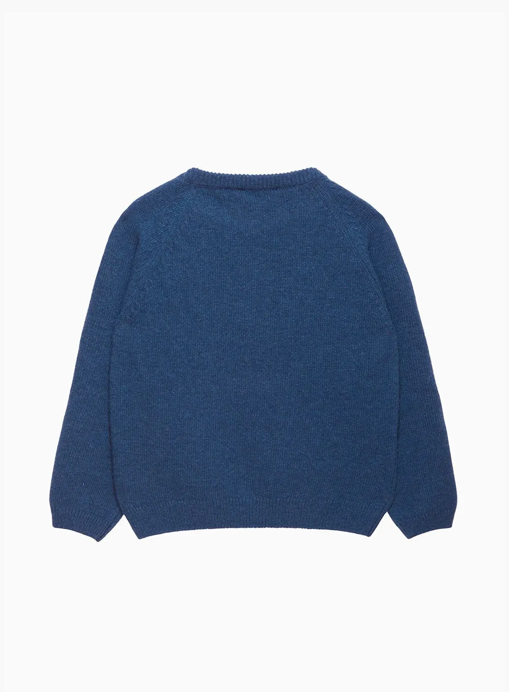 Grizzly Bear Jumper