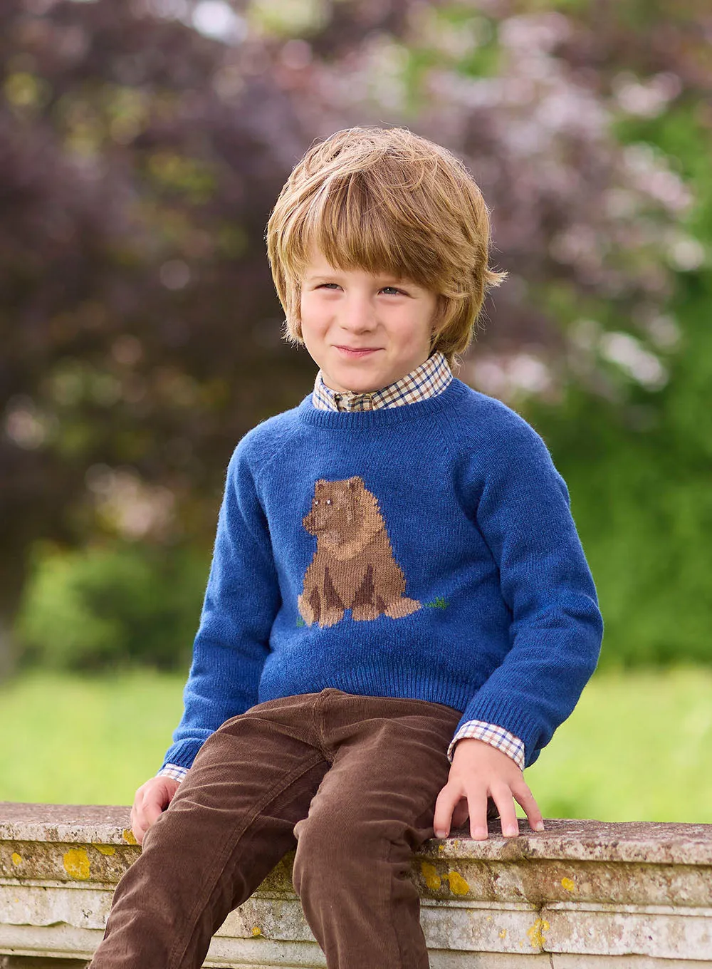 Grizzly Bear Jumper