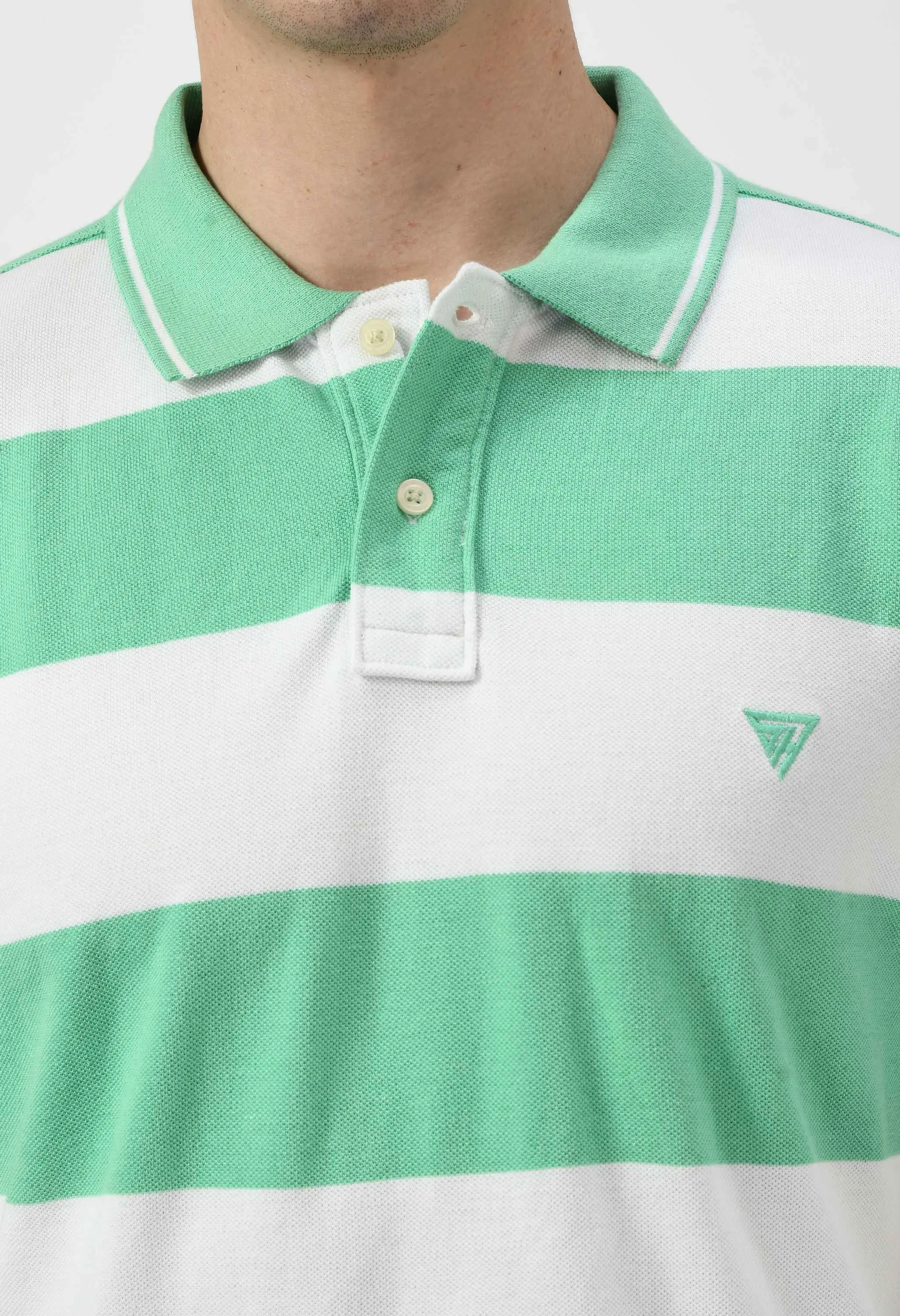Men's Striped Regular Fit Polo Neck T-Shirt