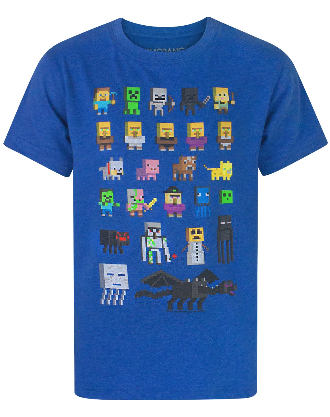 Minecraft Sprites Boy's T-Shirt