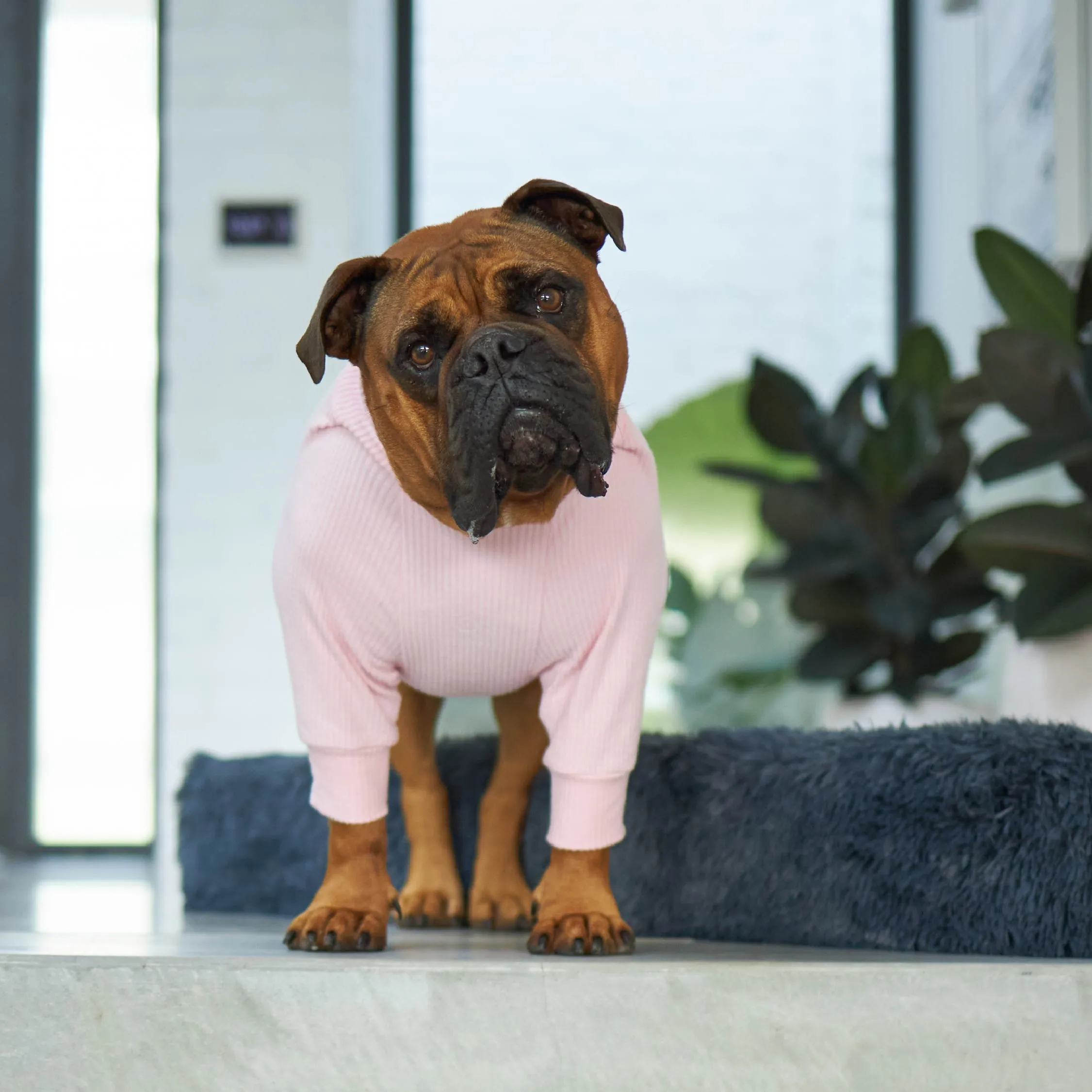 Pooch Dog Pyjamas - Pink