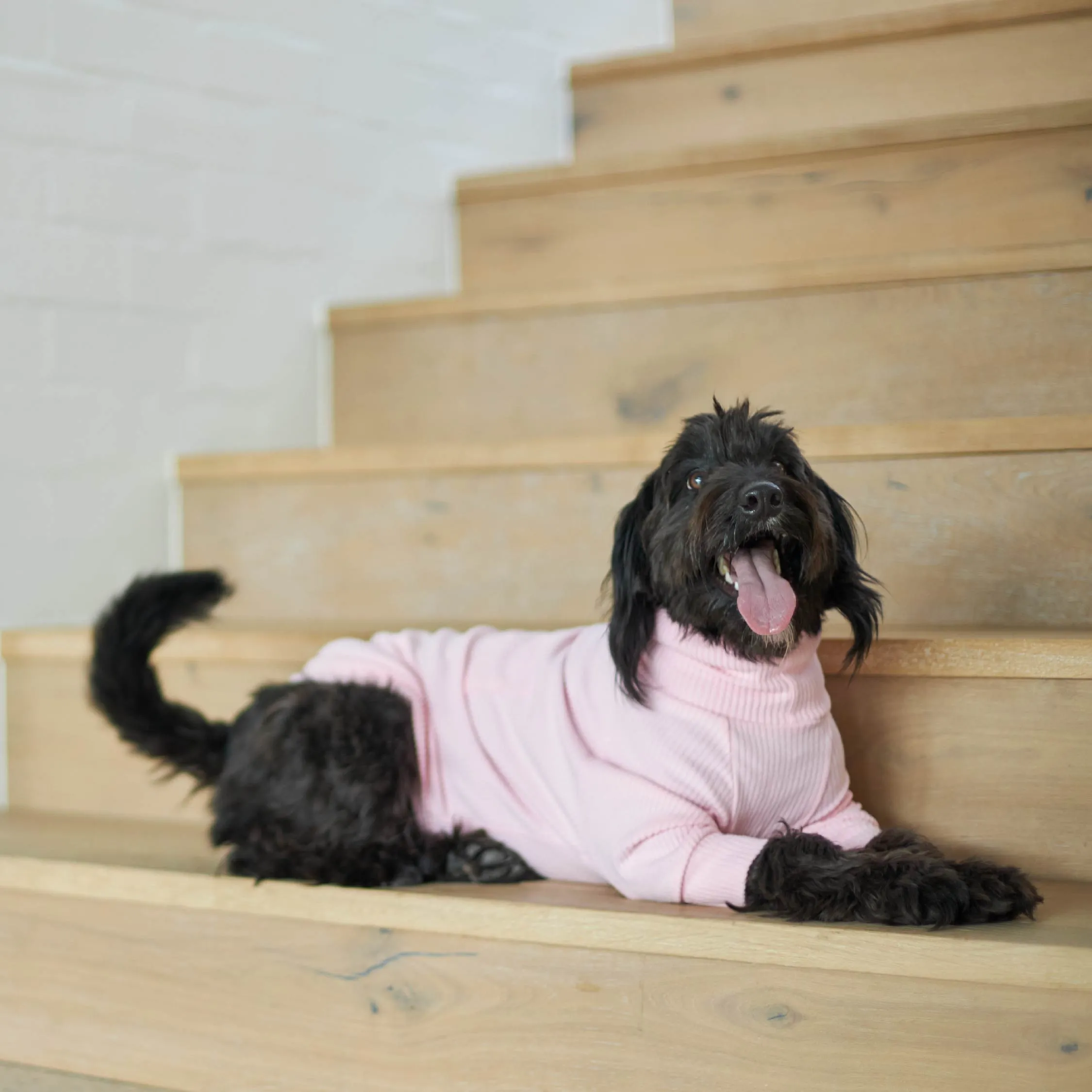 Pooch Dog Pyjamas - Pink
