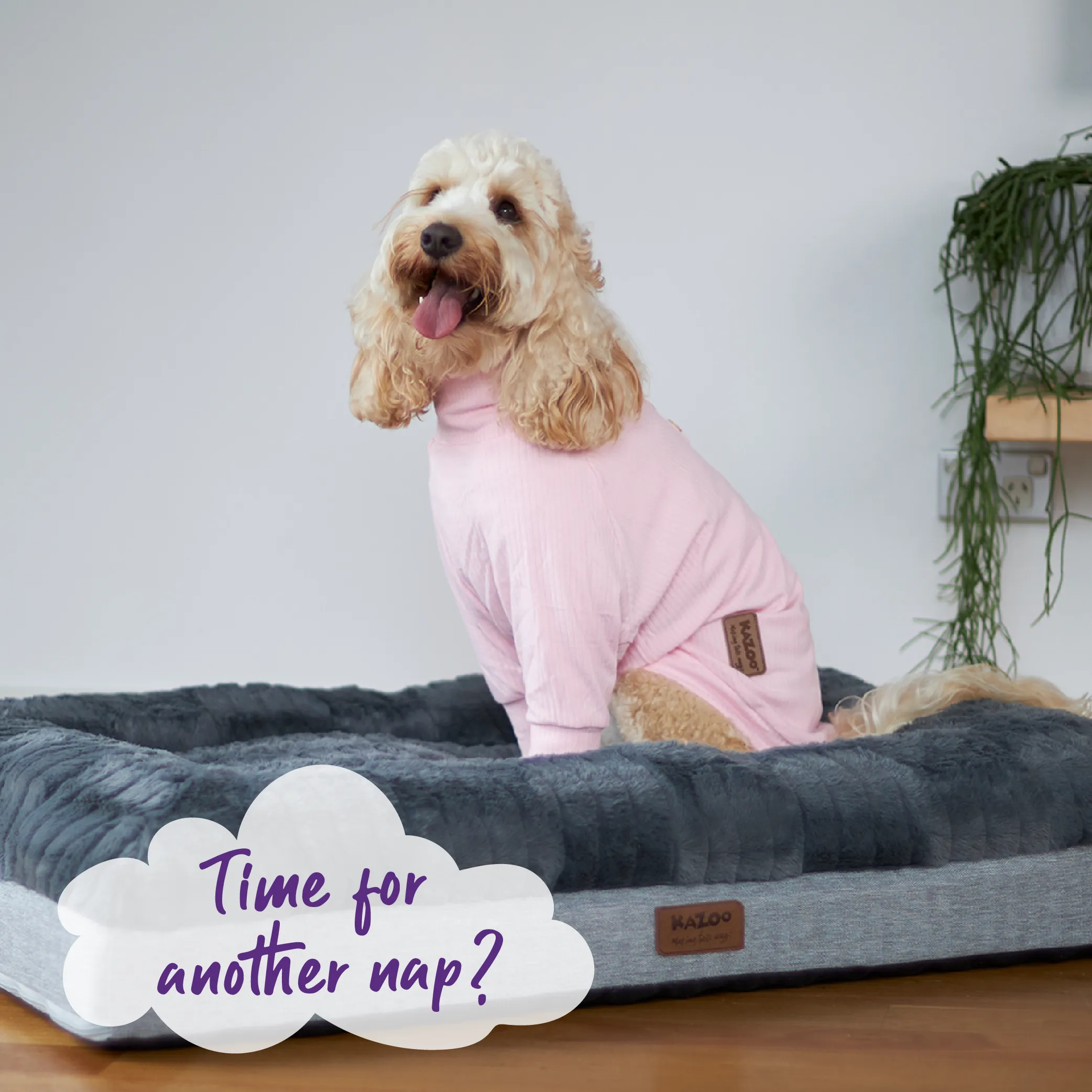 Pooch Dog Pyjamas - Pink