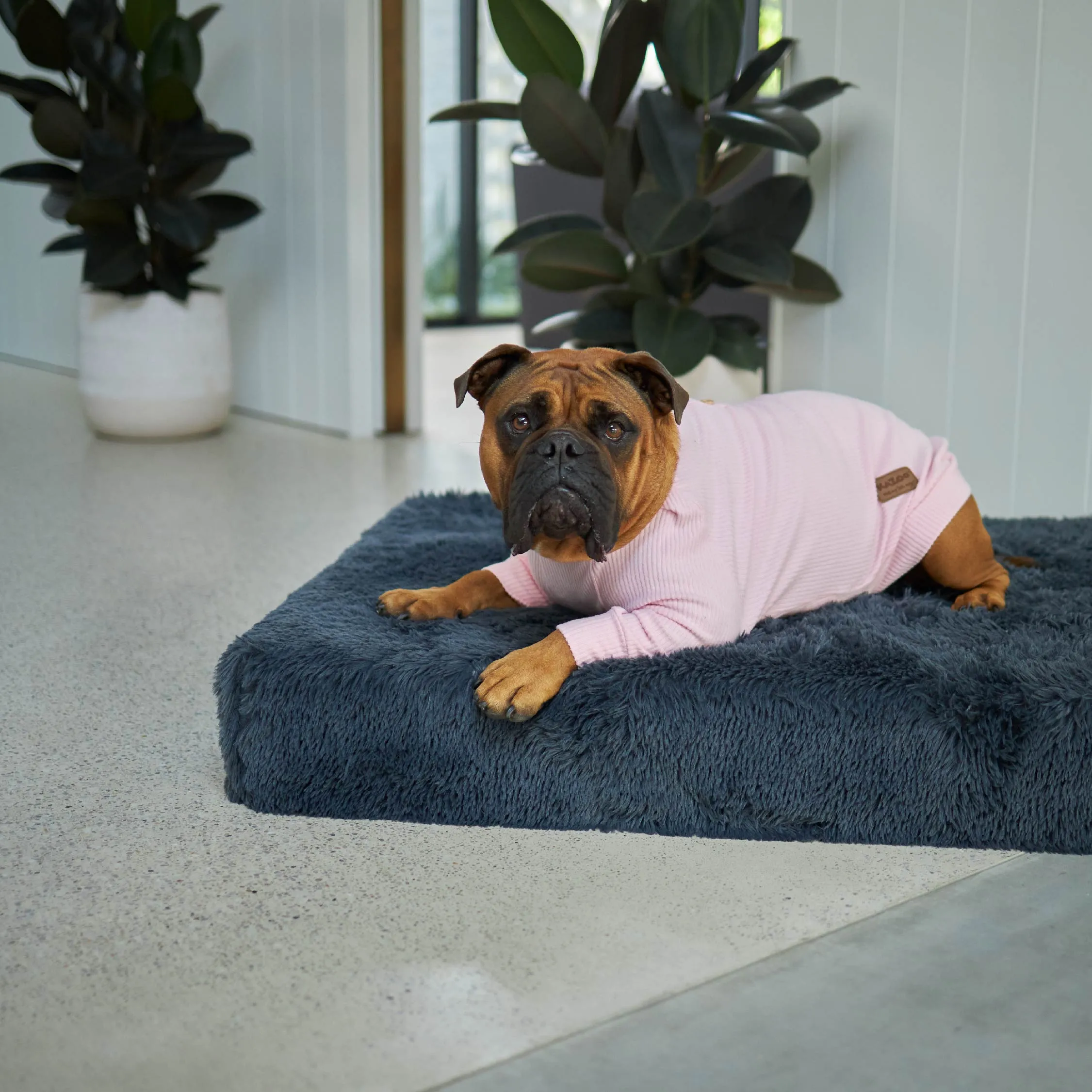 Pooch Dog Pyjamas - Pink