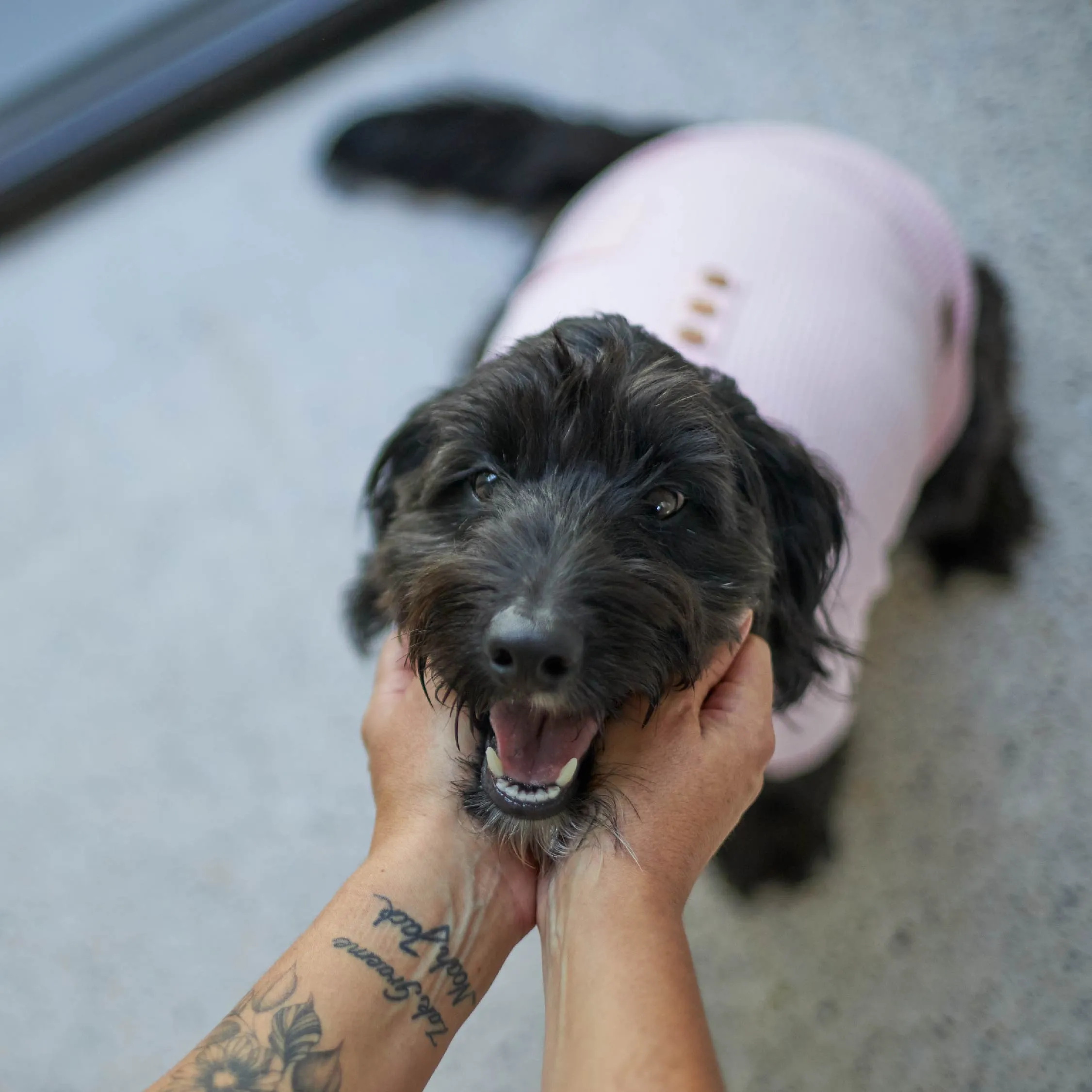 Pooch Dog Pyjamas - Pink