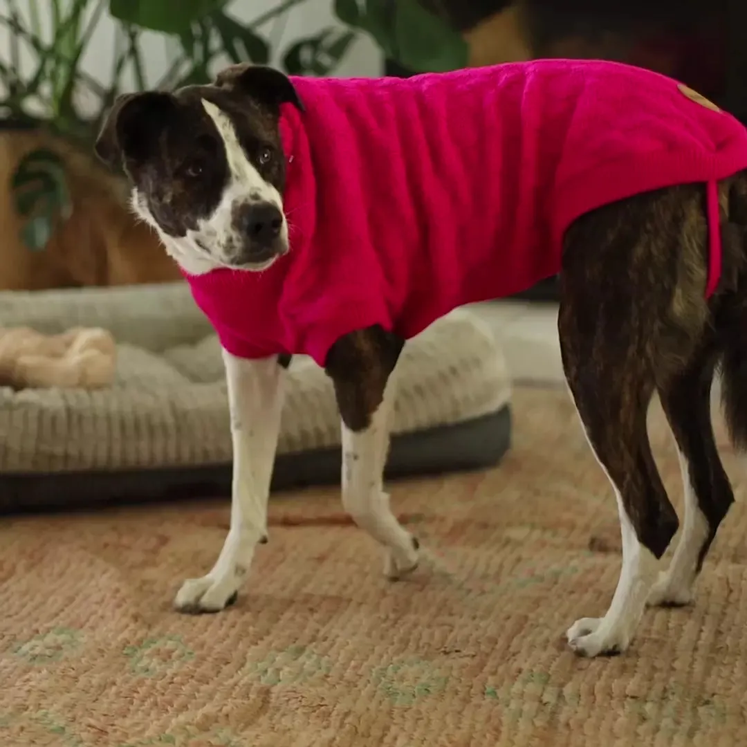 Raspberry Pink Dog Jumper