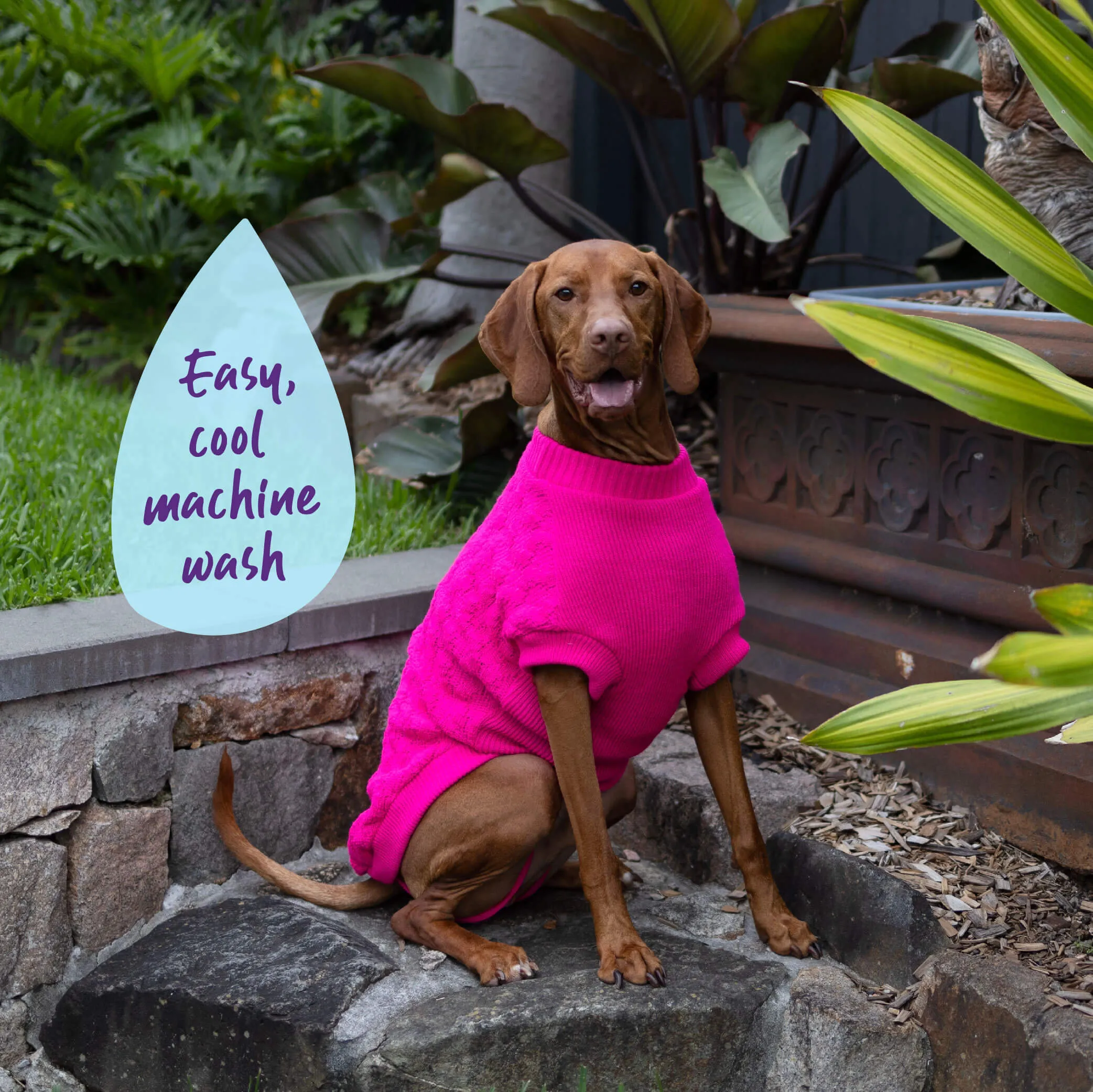 Raspberry Pink Dog Jumper