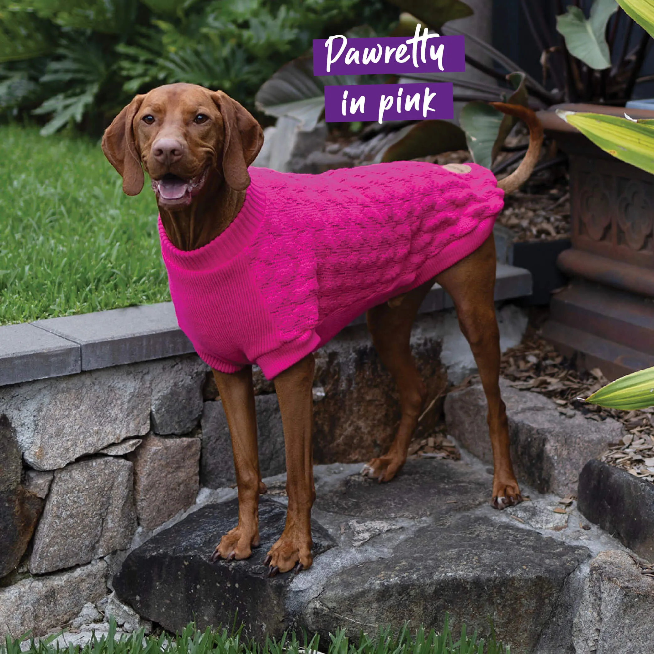 Raspberry Pink Dog Jumper