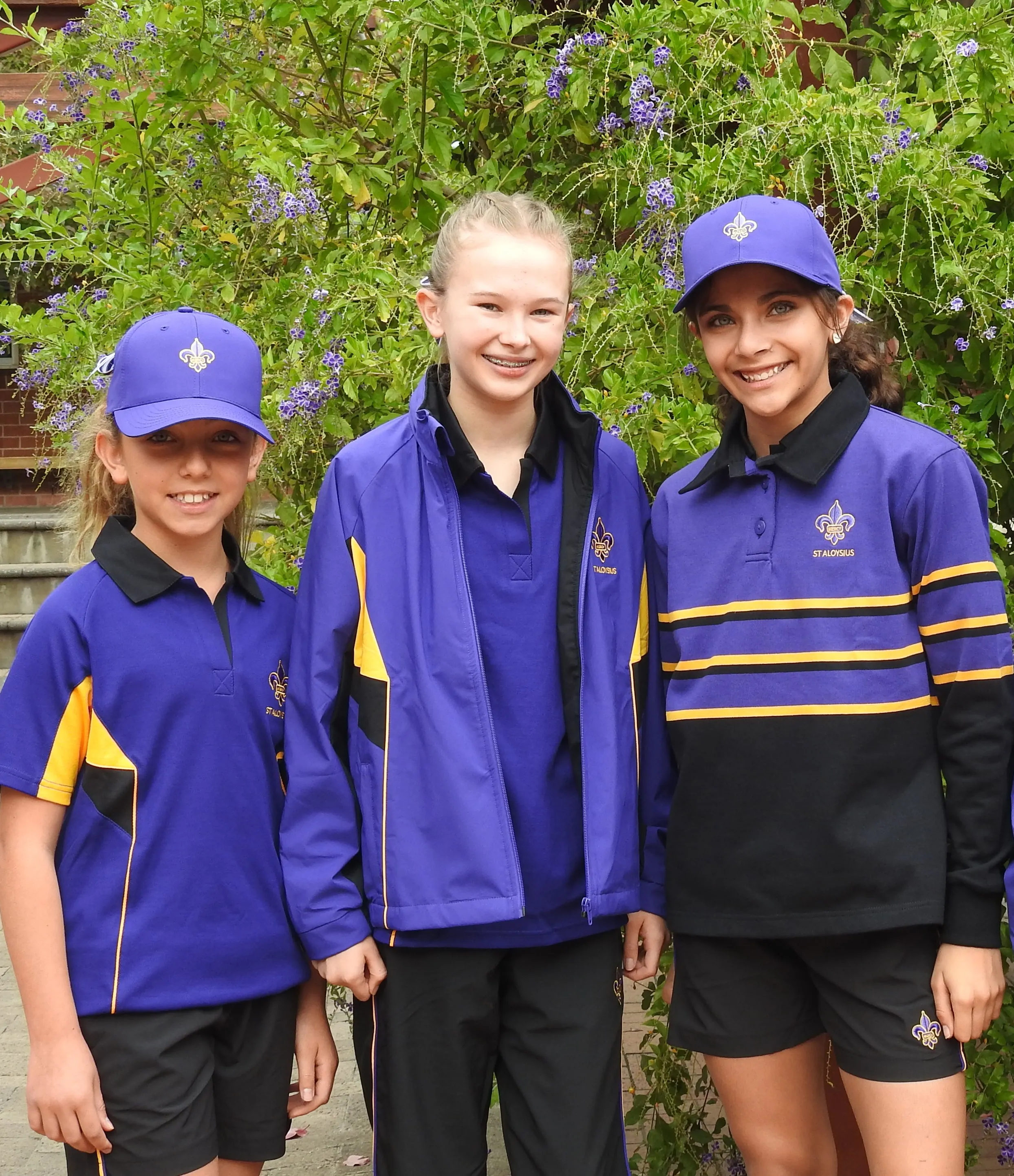 Rugby Jumper - Senior