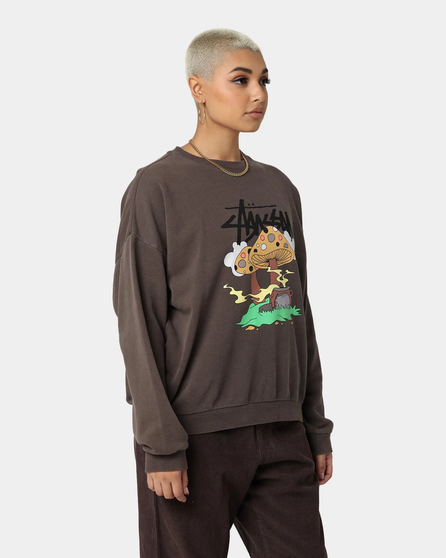 Stussy Women's Somethings Cookin' Crewneck Brown