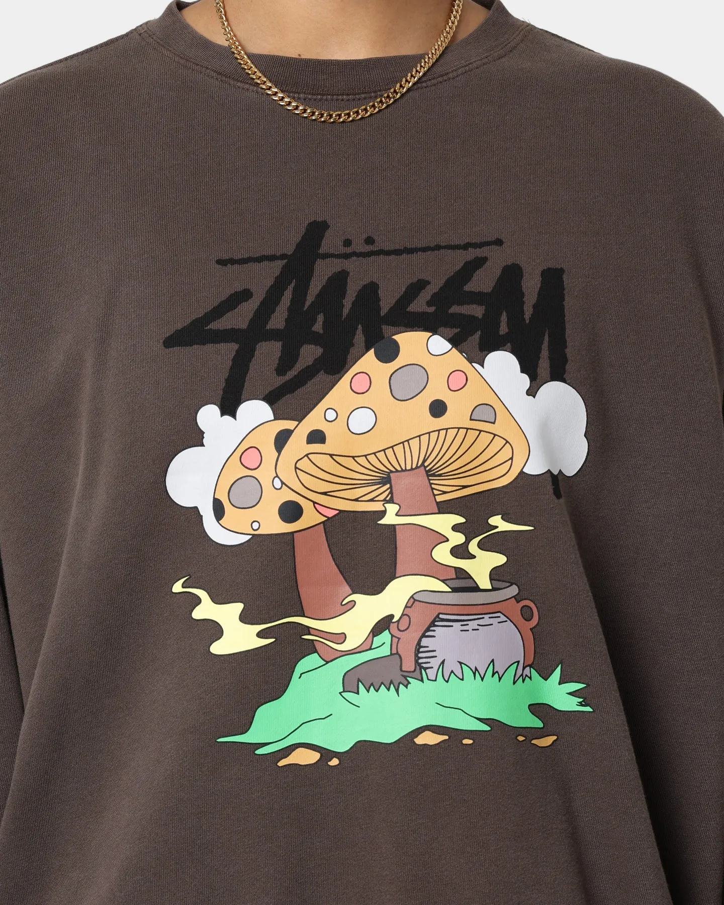 Stussy Women's Somethings Cookin' Crewneck Brown