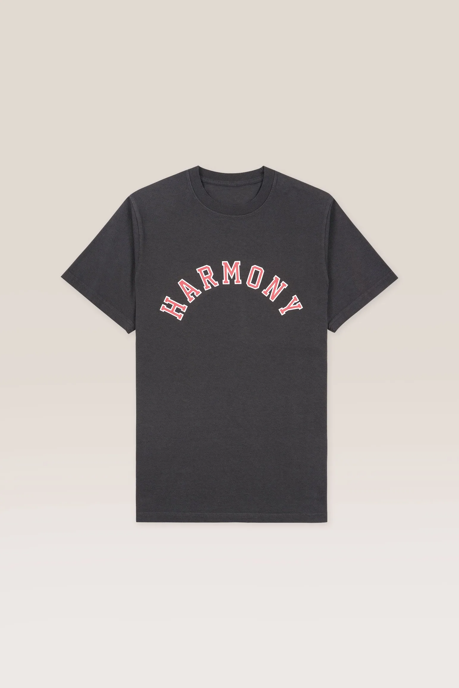 T-Shirt Varsity - Slate - Cotton Jersey